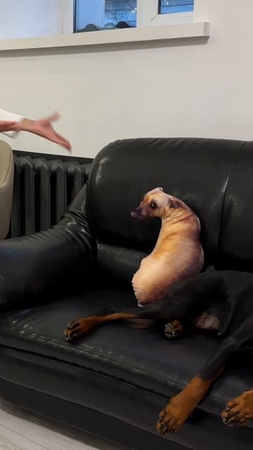 Не спалила 😅 смотреть онлайн