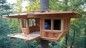 Мужчина строит дом на дереве высотой 5 метров в лесу. Бушкрафт