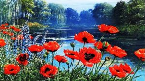 Маки на берегу озера.