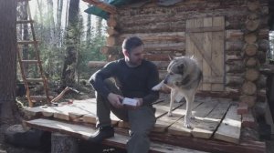 ПОСТРОИЛИ БАНЮ В ЛЕСУ, КОТОРАЯ НЕ ДЕРЖИТ ТЕПЛО. ТЕПЛОВИЗОР ВЫЯВИЛ КОСЯКИ.