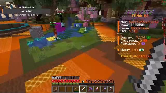 играем в майнкрафт на сервере REALLYWORLD
