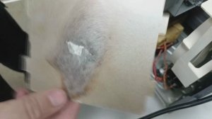 ремонт микроволновой печи panasonic nn-st342w не включается