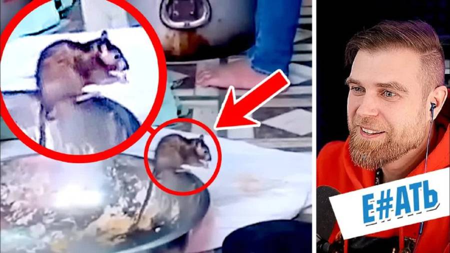 ПОЧЕМУ индийская УЛИЧНАЯ еда ТАКАЯ ТРЕШОВАЯ? смотреть онлайн