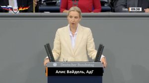 Алис Вайдель: Мерц, вы всё смеётесь?А вот немцам уже давно не смешно от вашей политики!