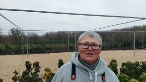 Какие саженцы черной смородины посадили себе. Пригород Воронежа.