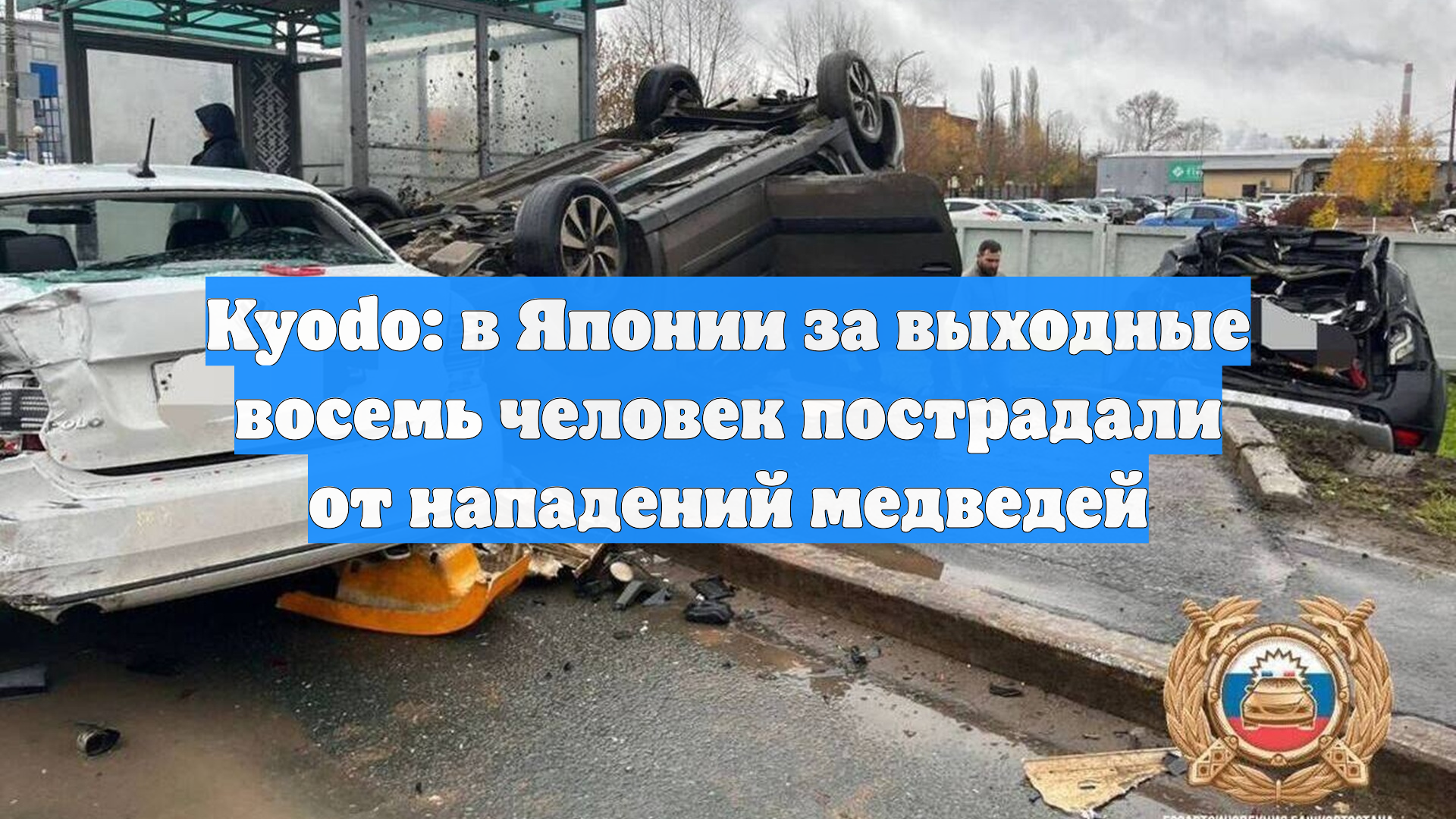 Kyodo: в Японии за выходные восемь человек пострадали от нападений медведей