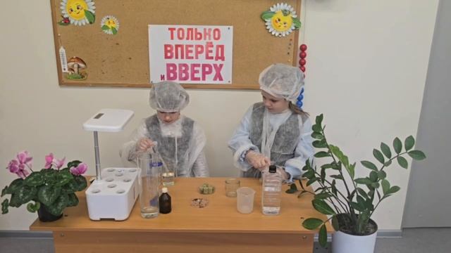 Сити-фермерство