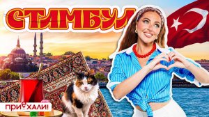 СТАМБУЛ | Спа для всех, кошачий рай и лучший чизкейк Сан Себастьян | Приехали