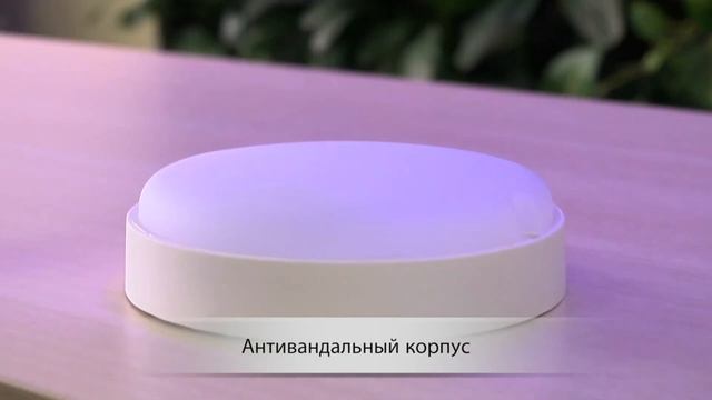 IEK - светильники для ЖКХ ДПО — обзор, характеристики и применение смотреть онлайн