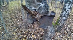 Металлокоп  ⚙ Металлолом вдоль полей