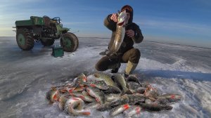 РЫБАЛКА по ПОСЛЕДНЕМУ ЛЬДУ на ВАСЮГАНСКИХ БОЛОТАХ. ТРОФЕЙ ЗИМЫ. Ловлю черных щук и трофейных окуней