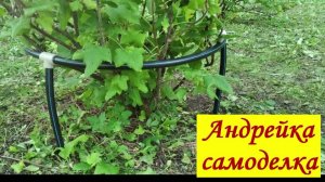 Опора 150 руб. для кустов смородины, крыжовника и цветов своими руками из ПНД