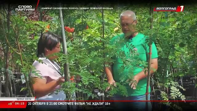 Телеканал «Волгоград 1» смотреть онлайн