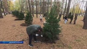 В Воронежской области прошёл традиционный субботник