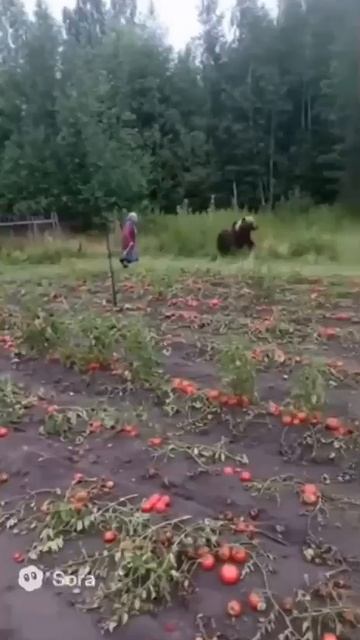 РУССКОГО МЕДВЕДЯ МОЖЕТ ПОБЕДИТЬ ТОЛЬКО РУССКАЯ БАБА! И КАК ВЫ ХОТИТЕ ПОБЕДИТЬ РОССИИЮ?ЭТО НЕВОЗМОЖНО смотреть онлайн