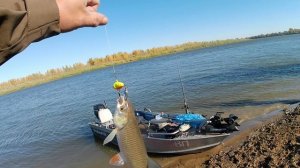 Моя рыбалка.Бузан,осень 2025 года.