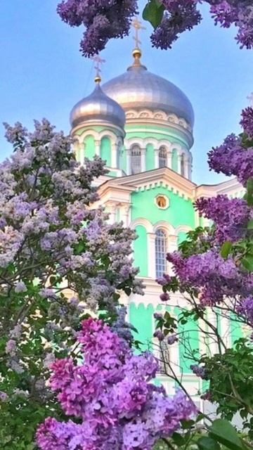 Душевный лекарь#Церковь#shortvideo#shorts#Молитва#Православие смотреть онлайн