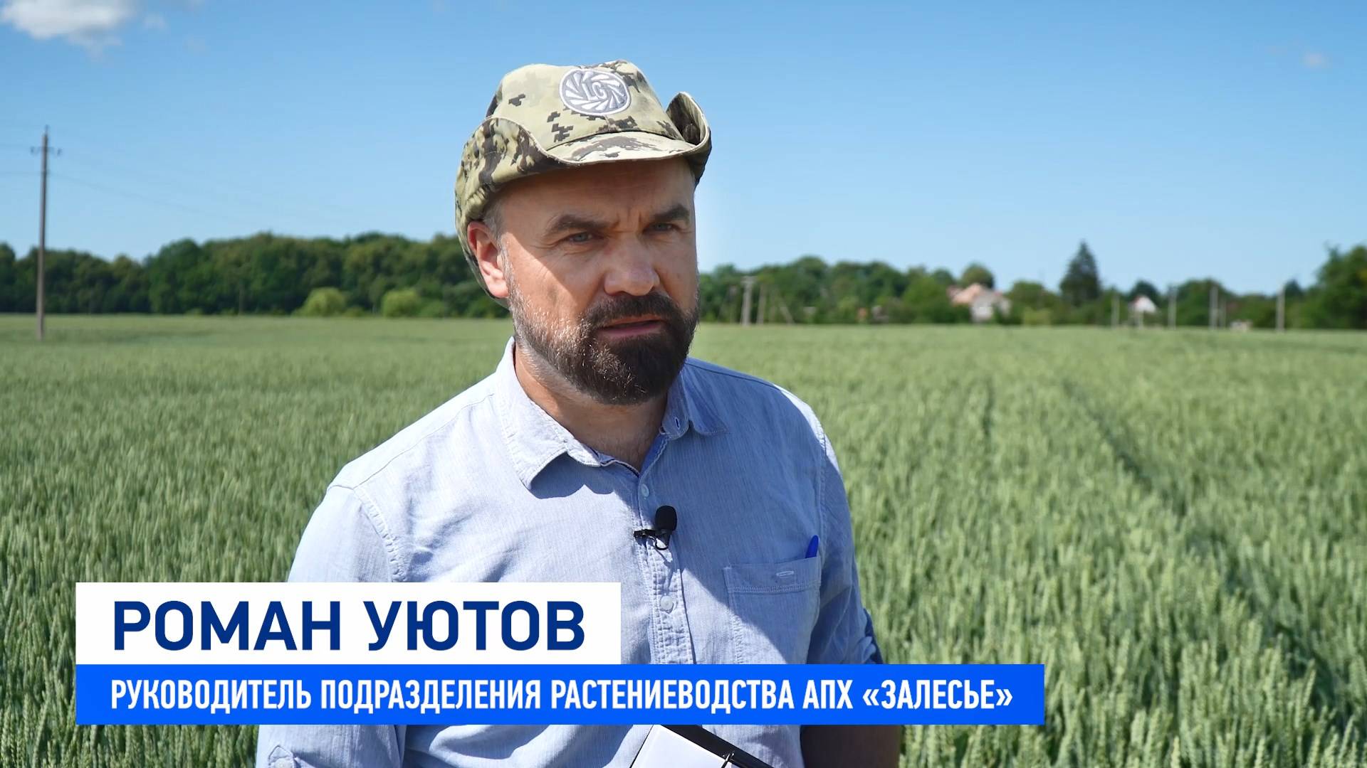 АПХ "Залесье" смотреть онлайн