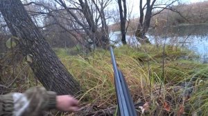 Охота на утку в октябре.