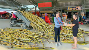 Собираю сахарный тростник. На грузовике везу его на местный рынок продавать. Жизнь во Вьетнаме