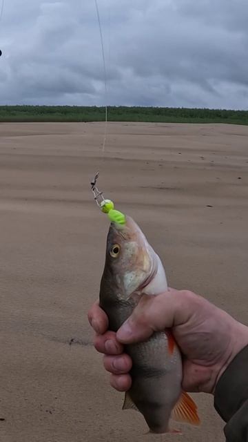 Окунь не колись! смотреть онлайн