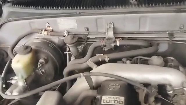 54222.mp4 смотреть онлайн