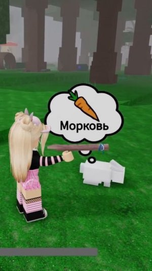 Я ПРИРУЧАЮ ЗАЙЦА😱 Вот что у меня вышло(смотри до конца)