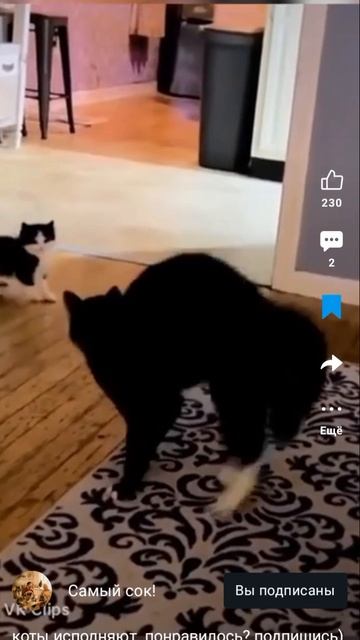 (не моë) попробуй не засмеяться!🤣