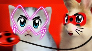 ЛЕДИ БАФ И СУПЕР КОТ СПАСАЮТ ВЕЧЕРИНКУ! КОШКА МУРКА ЗАКОЛДОВАНА [2019]