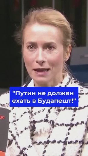 Предстоящий визит Путина в Венгрию расстроил Каю Каллас