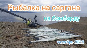 Как ловить Саргана на бомбарду? Рыбалка на Чёрном море. Алушта 2025.
