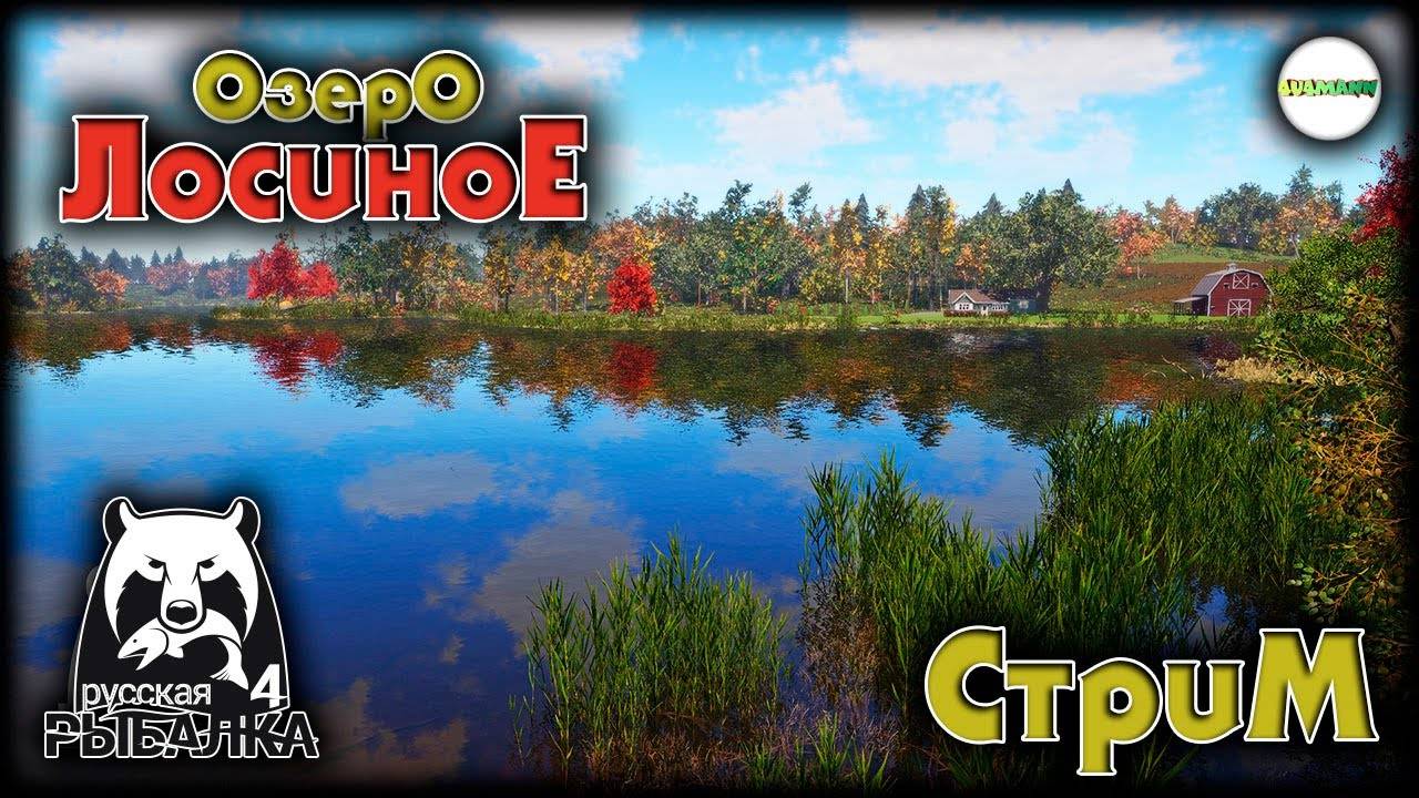 РУССКАЯ РЫБАЛКА 4 - Поплавок на Лосином смотреть онлайн