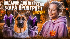 РАСПАКОВКА ТОВАРОВ ДЛЯ ЖИВОТНЫХ  | Жара проверяет покупки