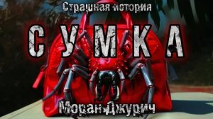 ТАЙНА ЖЕНСКОЙ СУМОЧКИ. Страшная история. Ужасы. Моран Джурич