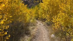 Ruby Mountains Nevada