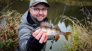 ПОКЛЁВКИ на КАЖДОМ ЗАБРОСЕ / ЛОВЛЯ ОКУНЯ ОСЕНЬЮ на ЛАЙТ-ДЖИГ с ОСНАСТКОЙ ДЖИГ-РИГ