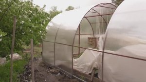 Смена поликарбоната на теплице