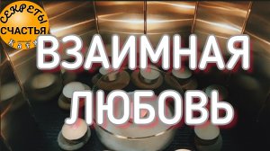 Ответ на свои чувства💞 получить от ❤️любимого -магия 🔮 просто 👁 посмотри, секреты счастья