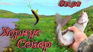 КАКОЙ ЖЕ КАЙФ!!! ЛОВИТЬ ХАРИУСА!!! И КУМЖУ!!! НА КРАЙНЕМ СЕВЕРЕ!!! РЫБАЛКА НА ОЗЁРАХ СЕВЕРА!!!