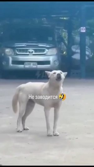 Не заводится 🤣