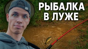 Чем себя развлечь в свободный день ?