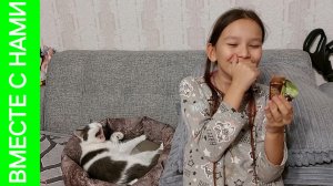 Потеряли машину в Гринвиче. Пробуем готовое тесто. Китайский магазин