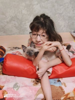 Стрим из больницы