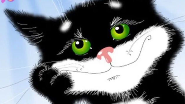 Сеанс релаксации у кошки. смотреть онлайн