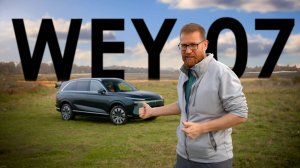 Тест Wey 07, батареи на морозе, какая химия лучше и об особенностях работы гибридов