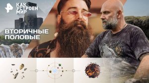 Вторичные половые — Как устроен мир с Тимофеем Баженовым (20.10.2025)