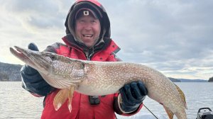 Пелагическая щука на КВХ