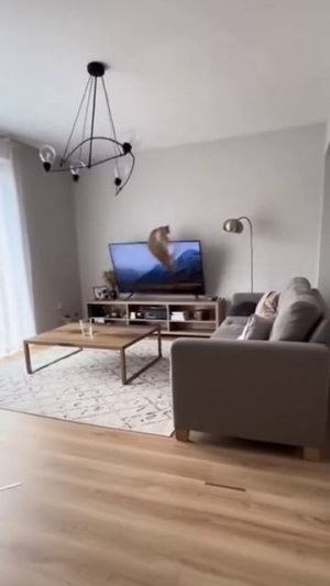 Такое можно смотреть бесконечно при условии, что это не твой дом ...