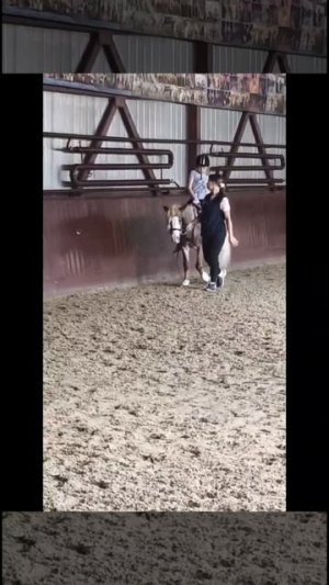 Я на тренировке с пони Восходом