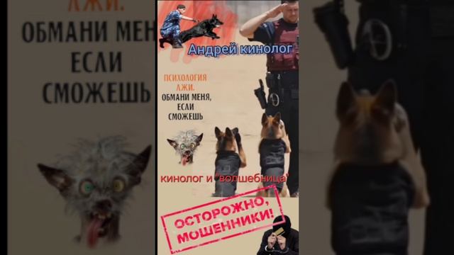 Кинолог и волшебница🧚♀️